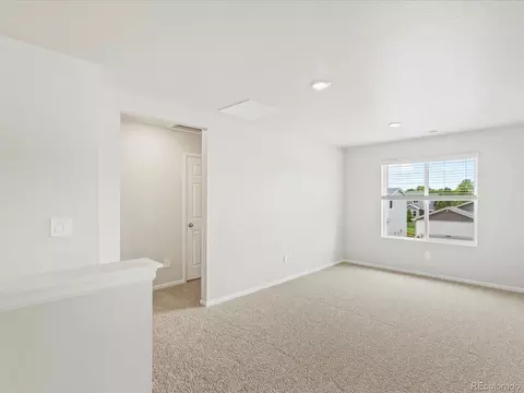 1675 Rumley Creek Dr, Windsor, CO 80550 photo 26
