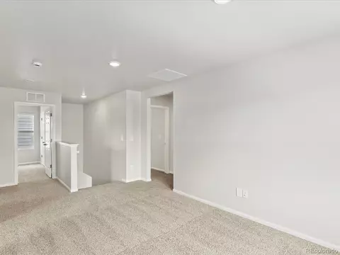1675 Rumley Creek Dr, Windsor, CO 80550 photo 25