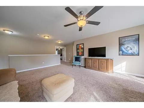 11203 Coal Mine St, Longmont, CO 80504 photo 15