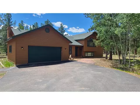 482 Tincup Ter, Bailey, CO 80421