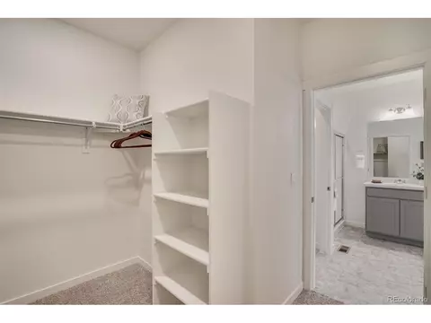 Other - 5621 Horro St, Windsor, CO 80528 photo 1 of 2