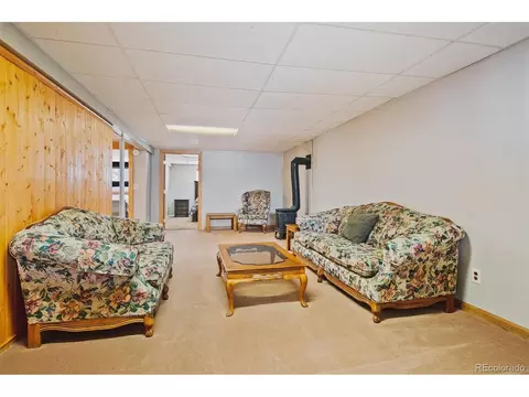 1551 Mockingbird Trl, Bailey, CO 80421 photo 24