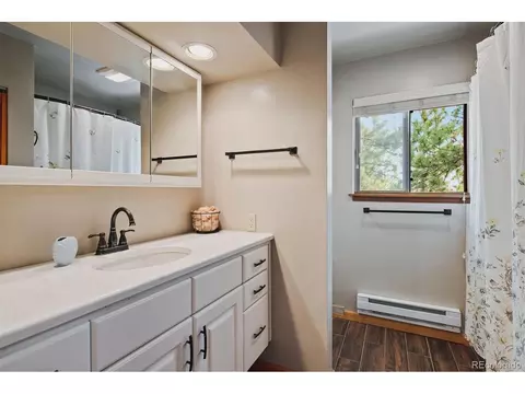 1551 Mockingbird Trl, Bailey, CO 80421 photo 20