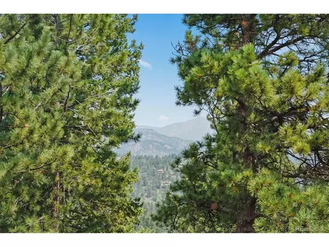 1551 Mockingbird Trl, Bailey, CO 80421 photo 37