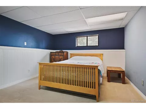 1551 Mockingbird Trl, Bailey, CO 80421 photo 21