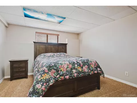 1551 Mockingbird Trl, Bailey, CO 80421 photo 22