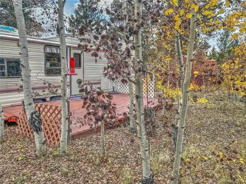 140 Lantern Loop, Hartsel, CO 80449 photo 19