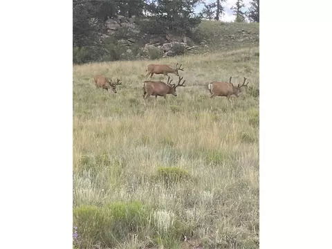 Undisclosed, Jefferson, CO 80456 photo 2