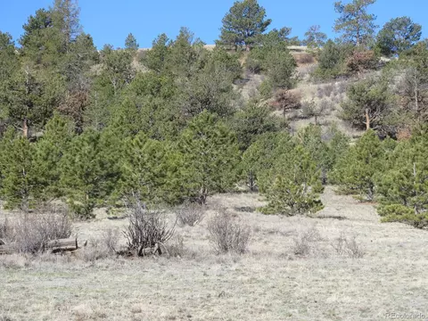 580 Oxford Dr, Hartsel, CO 80449