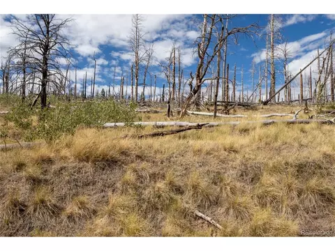 2748 Grojean Dr, Fort Garland, CO 81133