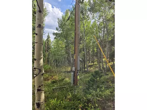 1 Tiber, Black Hawk, CO 80422 photo 5