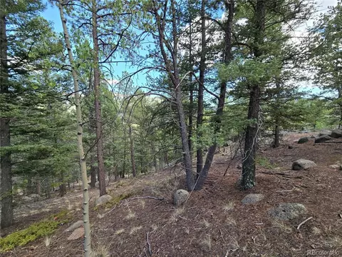 222 Blue Spruce Rd, Divide, CO 80814 photo 5