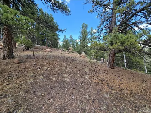 222 Blue Spruce Rd, Divide, CO 80814 photo 7