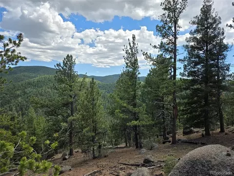 222 Blue Spruce Rd, Divide, CO 80814 photo 11