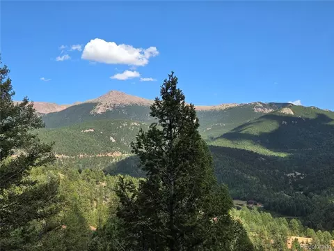 222 Blue Spruce Rd, Divide, CO 80814 photo 19