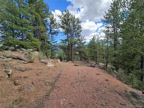 222 Blue Spruce Rd, Divide, CO 80814 photo 2