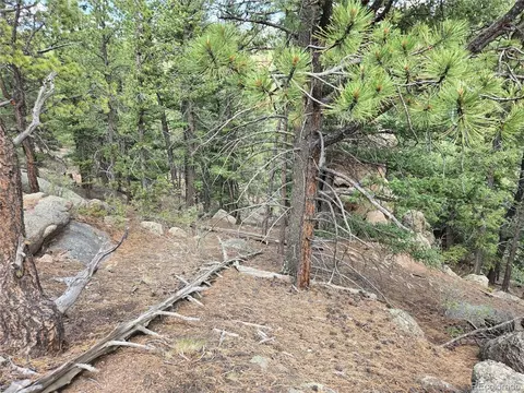222 Blue Spruce Rd, Divide, CO 80814 photo 14