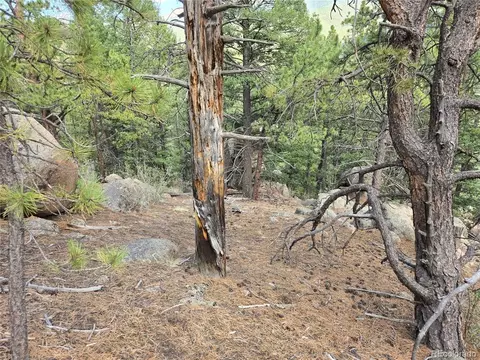 222 Blue Spruce Rd, Divide, CO 80814 photo 13