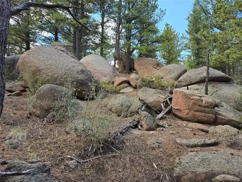 222 Blue Spruce Rd, Divide, CO 80814 photo 15