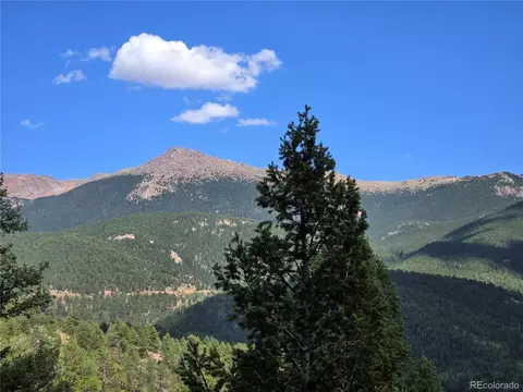 222 Blue Spruce Rd, Divide, CO 80814 photo 20
