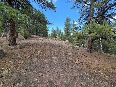 222 Blue Spruce Rd, Divide, CO 80814 photo 8