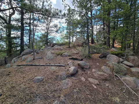 222 Blue Spruce Rd, Divide, CO 80814 photo 6