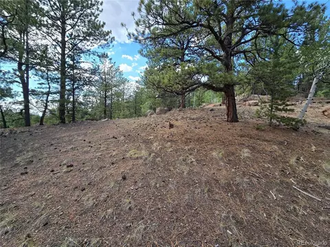 222 Blue Spruce Rd, Divide, CO 80814 photo 9