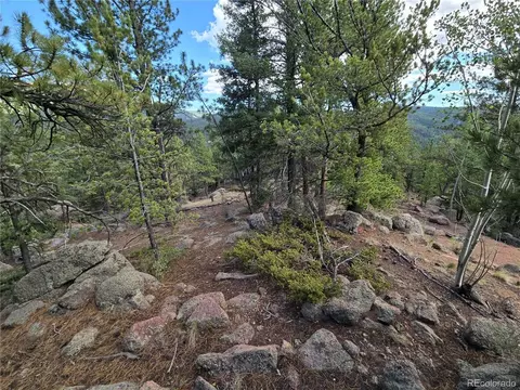 222 Blue Spruce Rd, Divide, CO 80814 photo 21