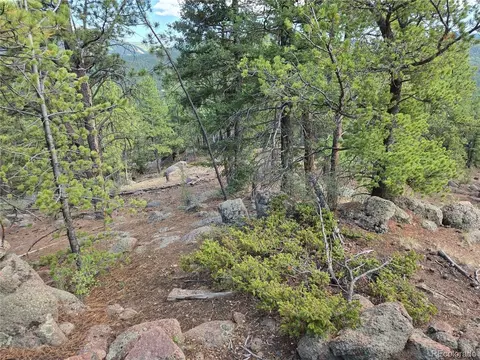 222 Blue Spruce Rd, Divide, CO 80814 photo 22