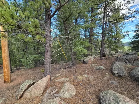 222 Blue Spruce Rd, Divide, CO 80814 photo 4