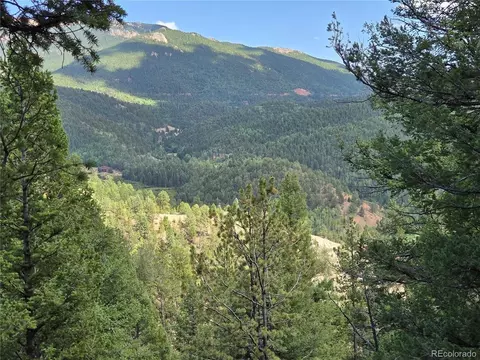 222 Blue Spruce Rd, Divide, CO 80814 photo 18