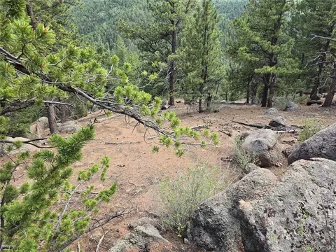 222 Blue Spruce Rd, Divide, CO 80814 photo 12