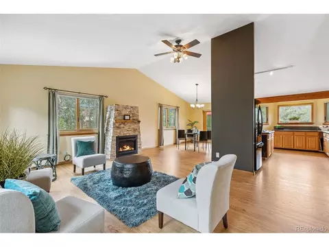 10668 Crystal Way, Morrison, CO 80465 photo 14