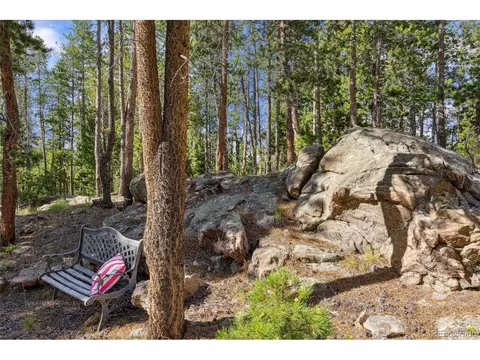 10668 Crystal Way, Morrison, CO 80465 photo 3