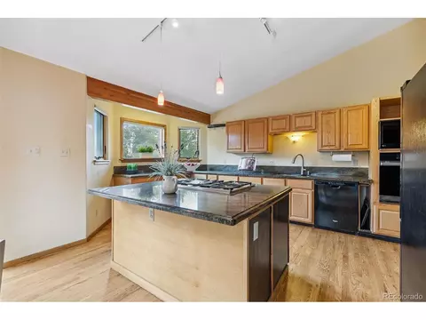 10668 Crystal Way, Morrison, CO 80465 photo 18