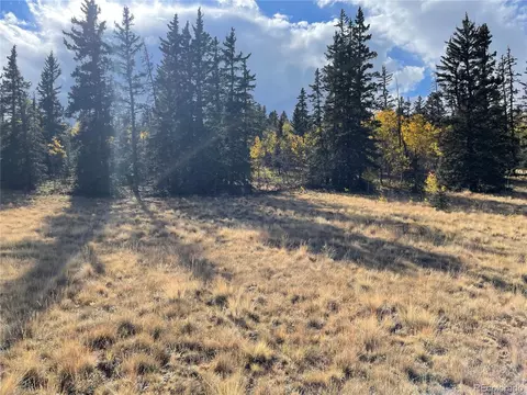 81 Warpath Rd, Como, CO 80432 photo 7