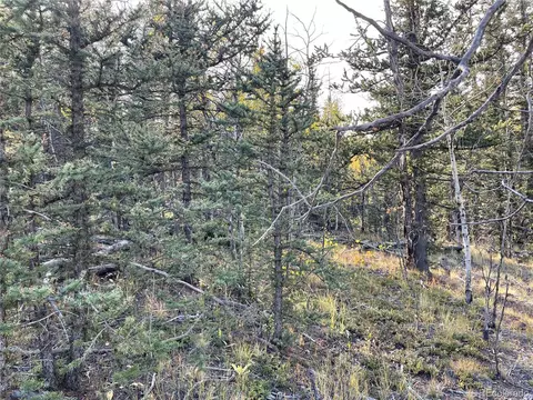 81 Warpath Rd, Como, CO 80432 photo 3