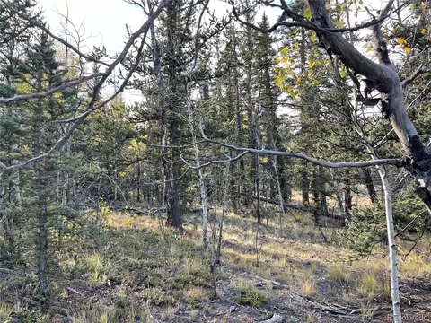 81 Warpath Rd, Como, CO 80432 photo 10
