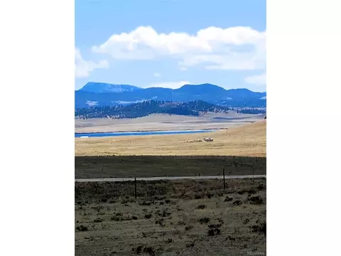 105 Moffat Ln, Hartsel, CO 80449