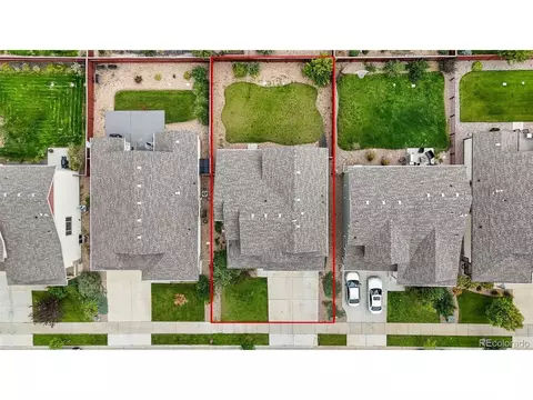 2135 Crop Row Dr, Windsor, CO 80550 photo 7