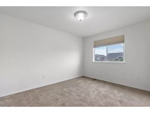 2135 Crop Row Dr, Windsor, CO 80550 photo 38