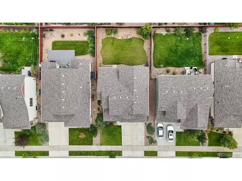 2135 Crop Row Dr, Windsor, CO 80550 photo 8