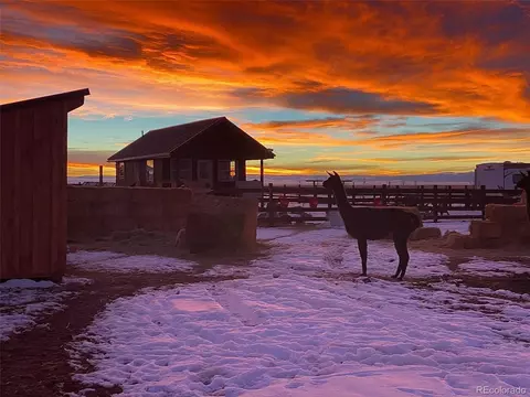 27028 Garo Park Dr, Blanca, CO 81123