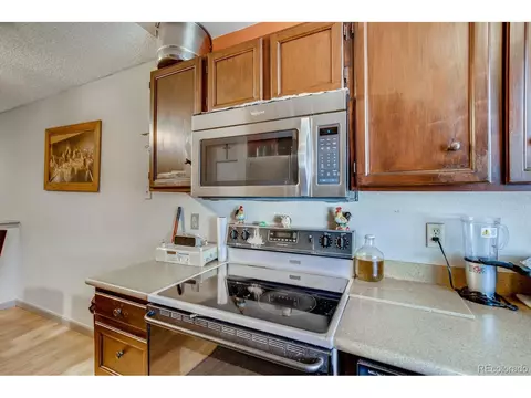 19270 E 22nd Dr, Aurora, CO 80011 photo 10