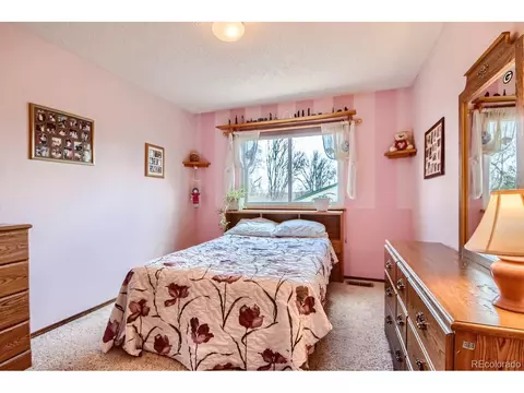 2007 E 129th Ave, Thornton, CO 80241 photo 17