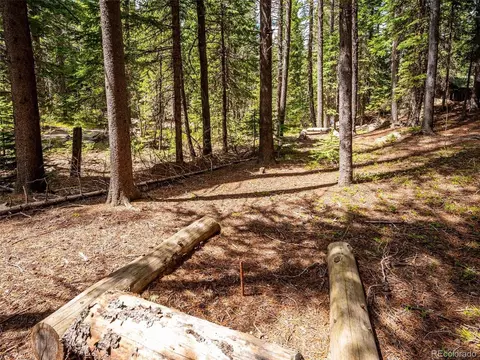 8995 Carol Ln, Conifer, CO 80433 photo 20