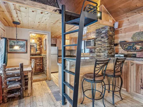 8995 Carol Ln, Conifer, CO 80433 photo 10