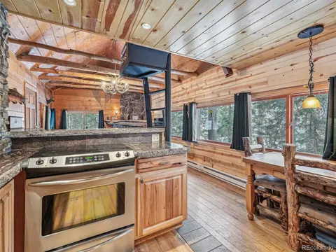 8995 Carol Ln, Conifer, CO 80433 photo 31