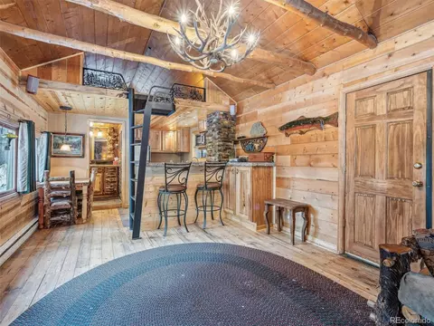 8995 Carol Ln, Conifer, CO 80433 photo 11