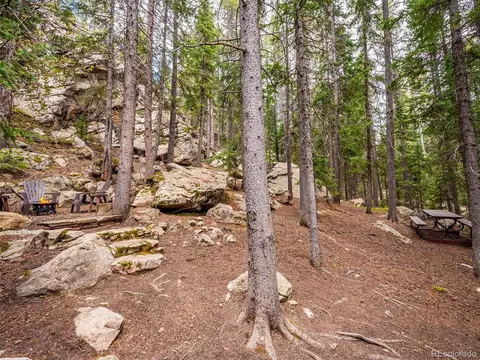 8995 Carol Ln, Conifer, CO 80433 photo 15